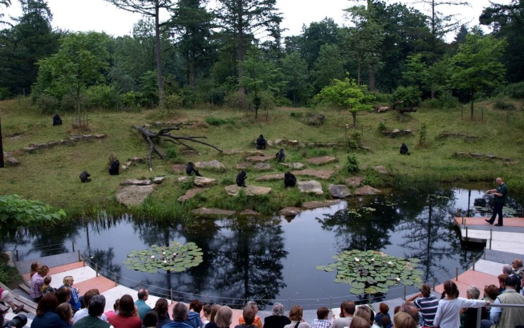 Apenheul in Apeldoorn