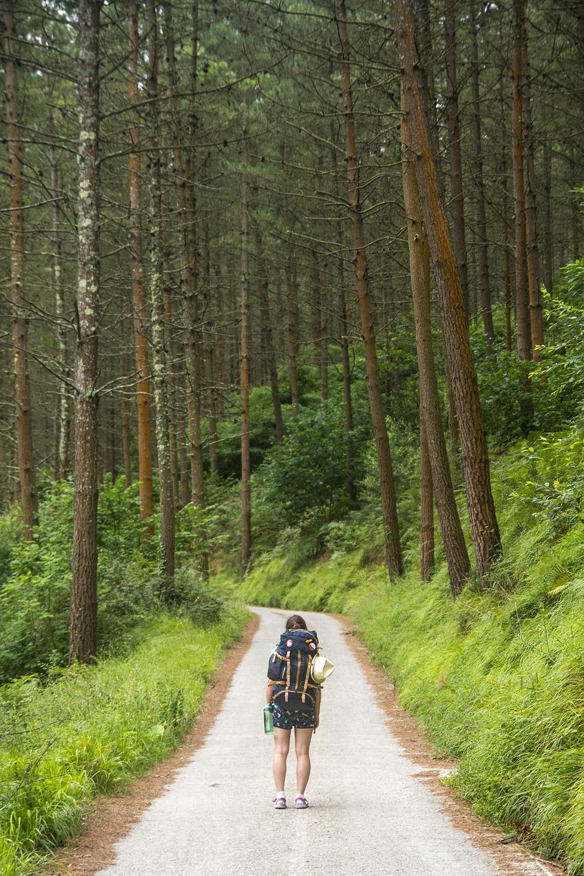 Wandelroutes in Apeldoorn